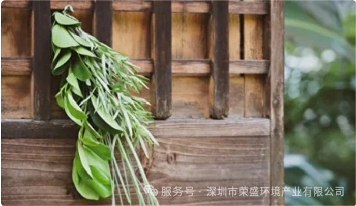 端午节运动富厚多彩-